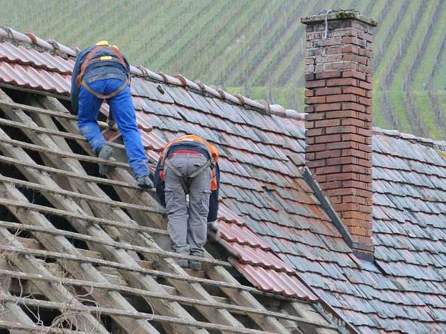 roof contractor