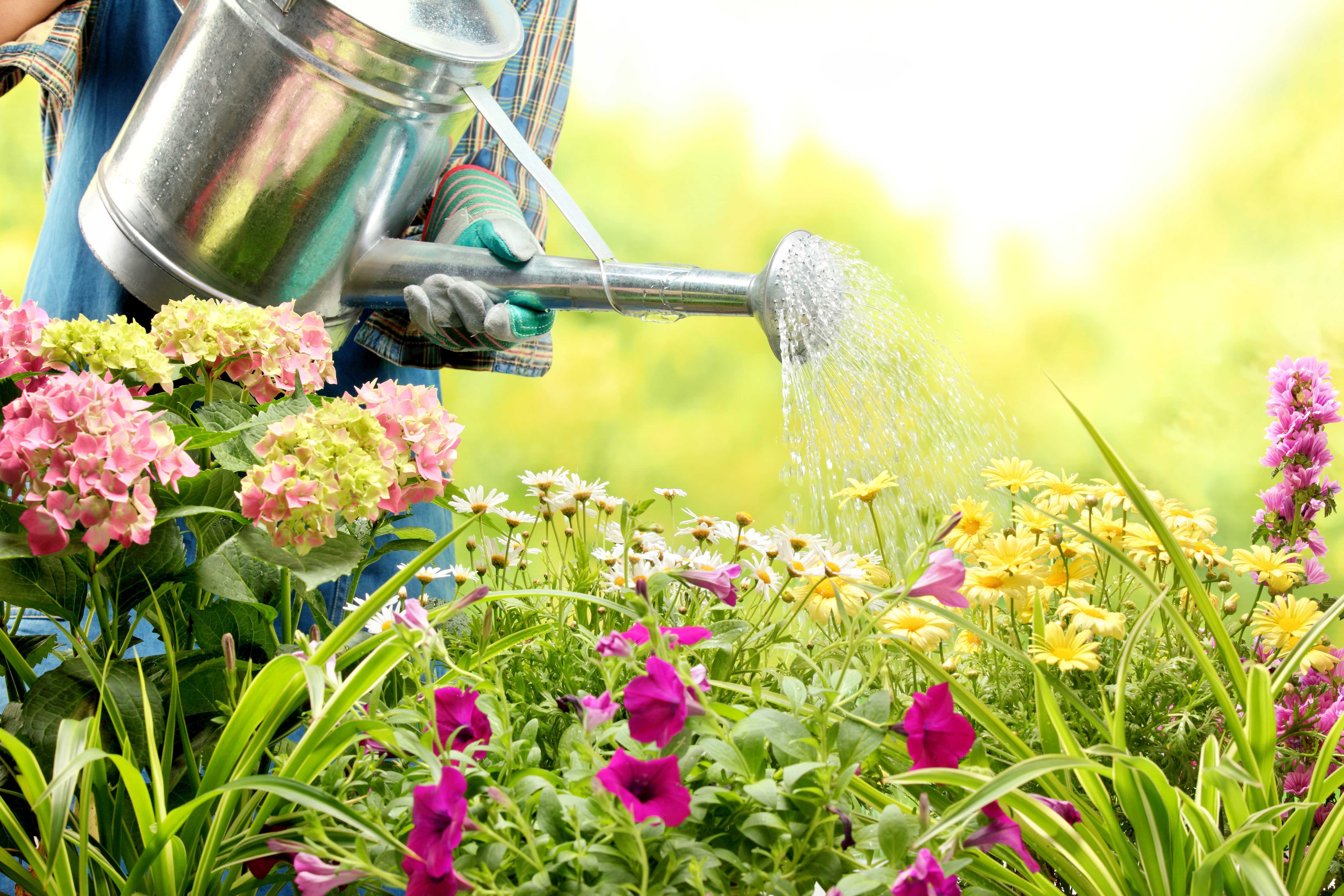 Four Key Elements: Gardening Mistakes that You Keep Doing