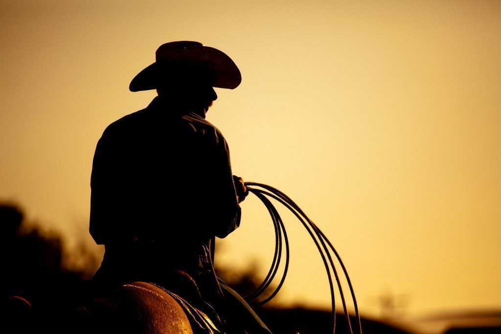 Silhouette of a cowboy riding a horse