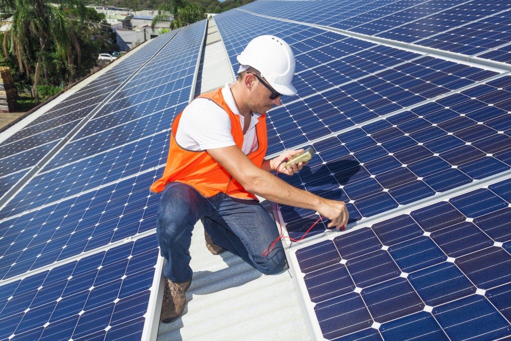 Technician Checking Solar Panels