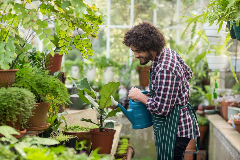 A man watering his plants and smiling