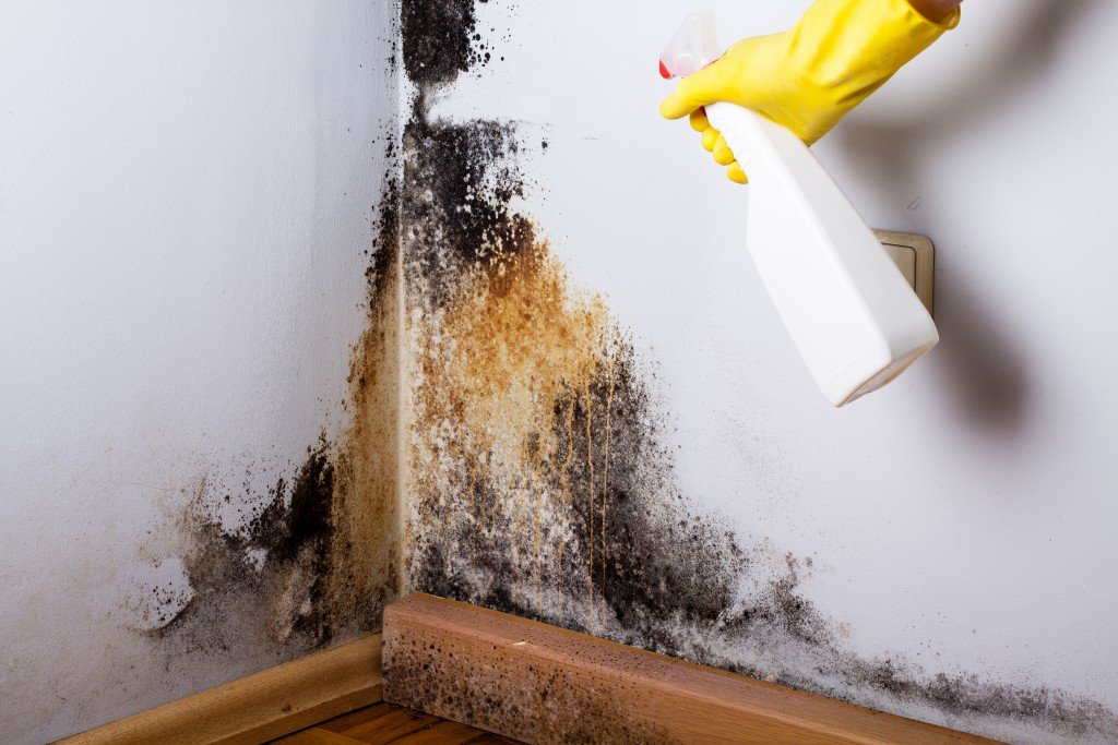 4 Ways To Prevent Mold From Infesting Your Home