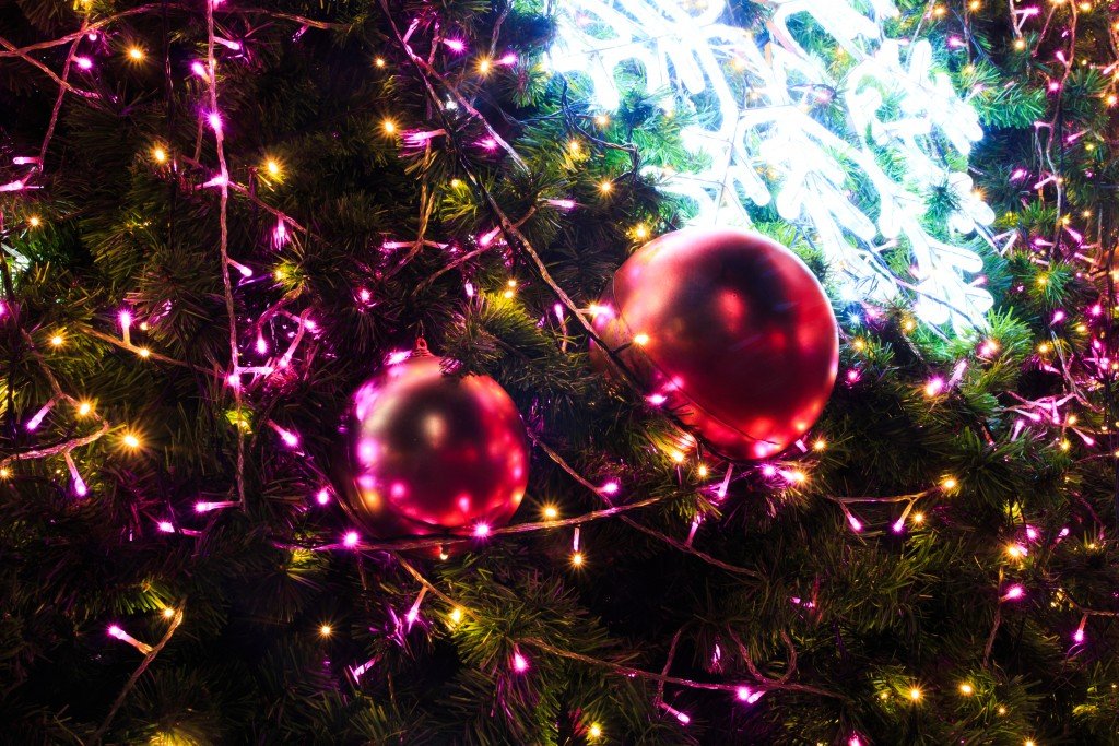 Christmas lights hanging in a tree on chrismas day