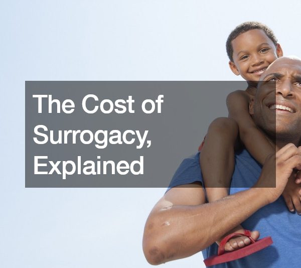 The Cost of Surrogacy, Explained