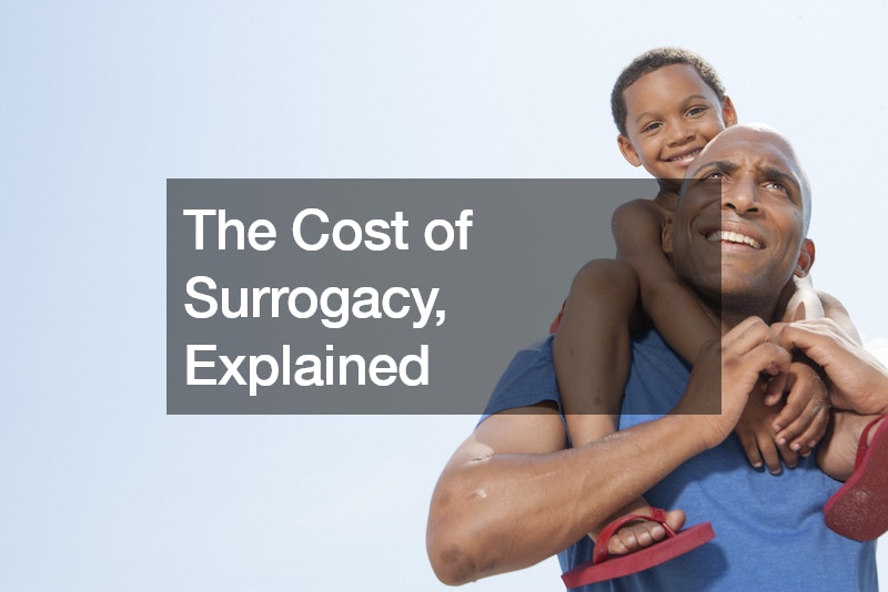 The Cost of Surrogacy, Explained