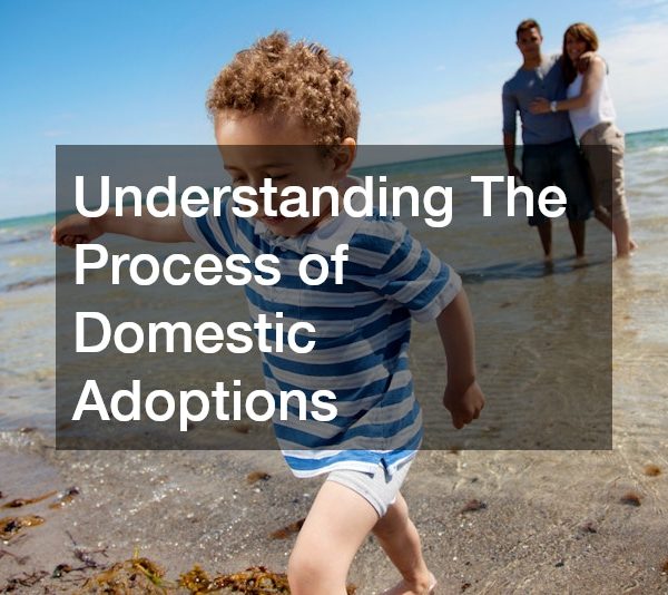 Understanding The Process of Domestic Adoptions