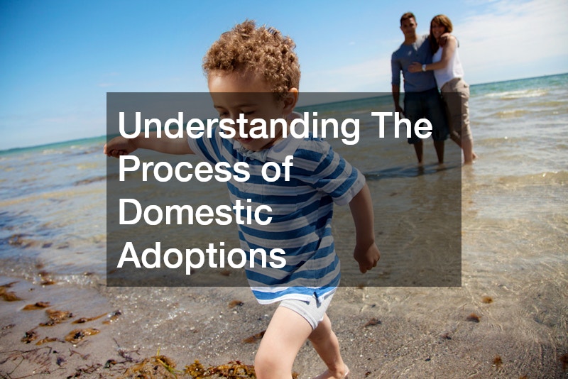 Understanding The Process of Domestic Adoptions